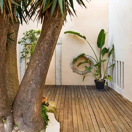 公寓 Pool & Garden In The Heart Of *