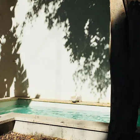 Apartment Pool & Garden In The Heart Of Lisbon