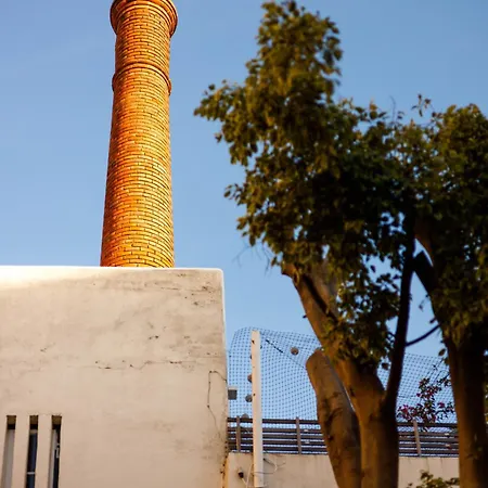 Pool & Garden In The Heart Of